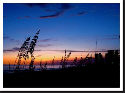 sunset with sea oats of panama city beach