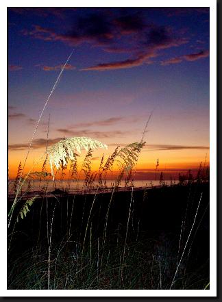 sunset with sea oats