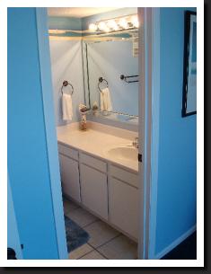 guest bedroom bath